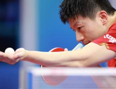 多特蒙德主帅放话：世乒赛八强战必胜拜仁慕尼黑，贝林厄姆冷笑回应的简单介绍